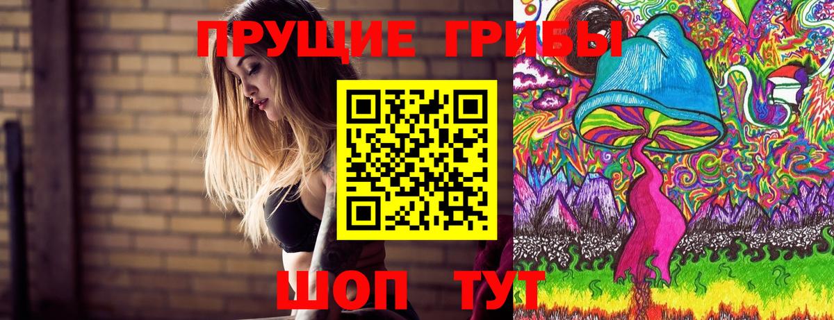 купить закладку  Псилоцибиновые грибы MAGIC MUSHROOMS  Вход с VPN  Краснокаменск 