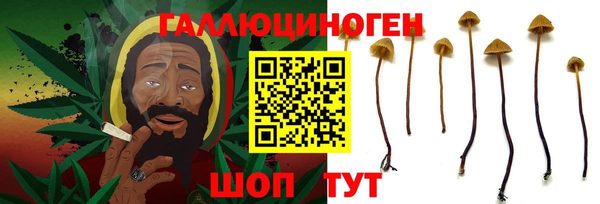 Галлюциногенные грибы Magic Shrooms Краснокаменск